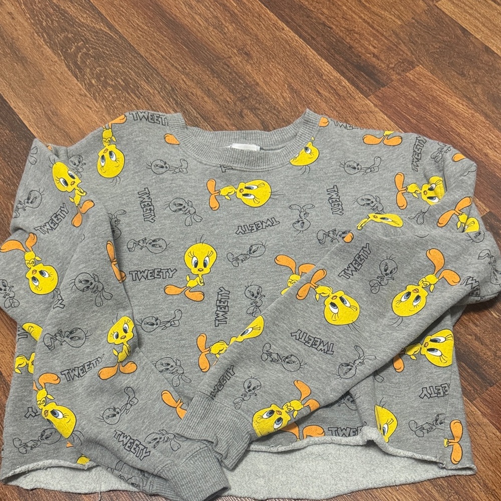 Tweety Graphic Sweatshirt in Gray